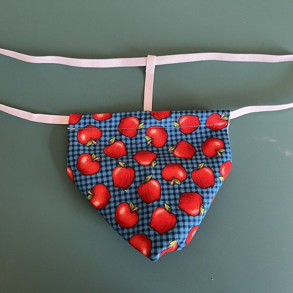 Mens APPLES Fruit String Thong Male Teacher lingerie Underwear